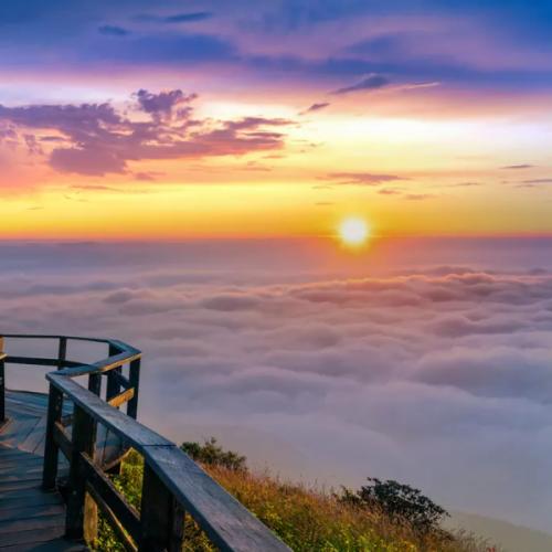 สมาชิกหมายเลข 8031239