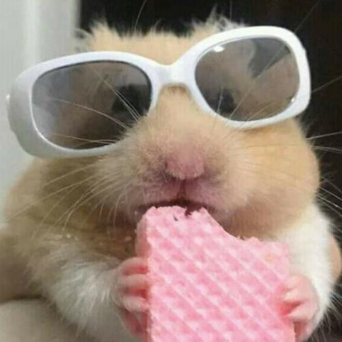 สมาชิกหมายเลข 4347011