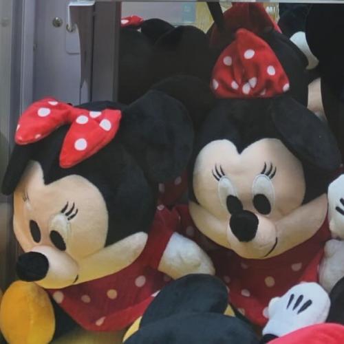 สมาชิกหมายเลข 8689020