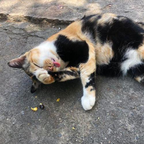 สมาชิกหมายเลข 8744973