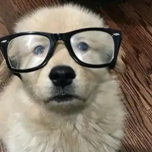 สมาชิกหมายเลข 9111118