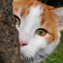 สมาชิกหมายเลข 5000758