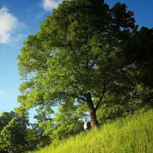 สมาชิกหมายเลข 4214487