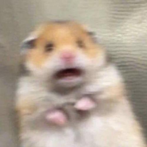 สมาชิกหมายเลข 5426291