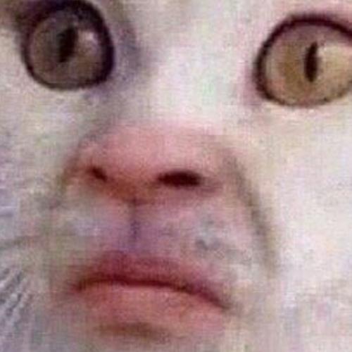 สมาชิกหมายเลข 6545895