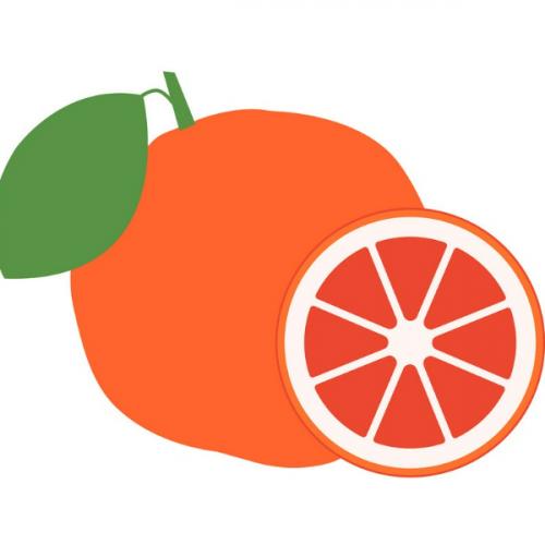 ส้มเช้งรู้โลกรู้