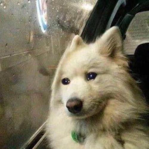 สมาชิกหมายเลข 8088412