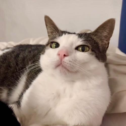 สมาชิกหมายเลข 8088903