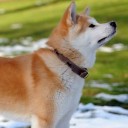 สมาชิกหมายเลข 3800067