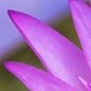 แม่น้องเก้า