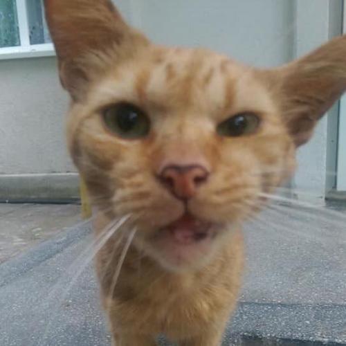 สมาชิกหมายเลข 4671002