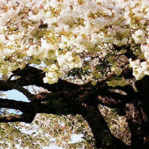 สมาชิกหมายเลข 5034184