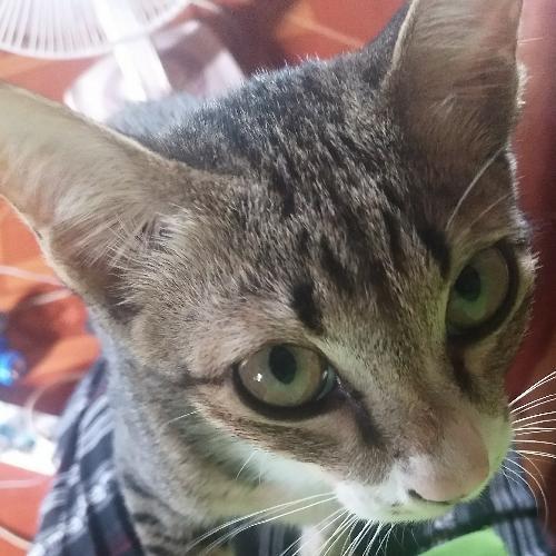 สมาชิกหมายเลข 5426724