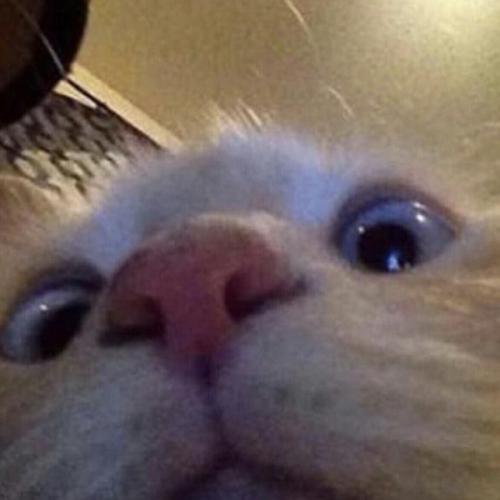 สมาชิกหมายเลข 5026458