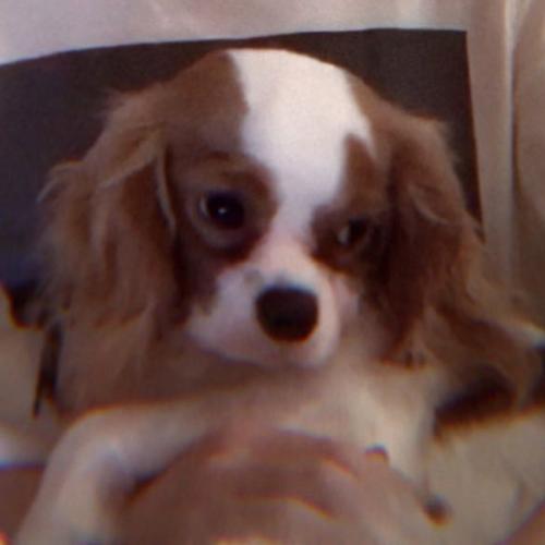 สมาชิกหมายเลข 5941112