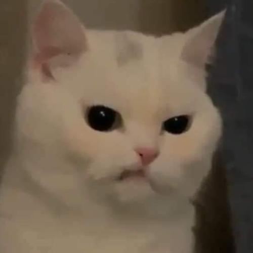 สมาชิกหมายเลข 4521578