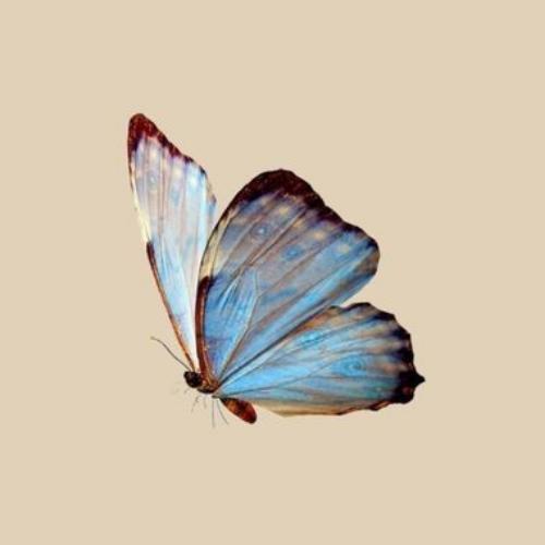 สมาชิกหมายเลข 5463403