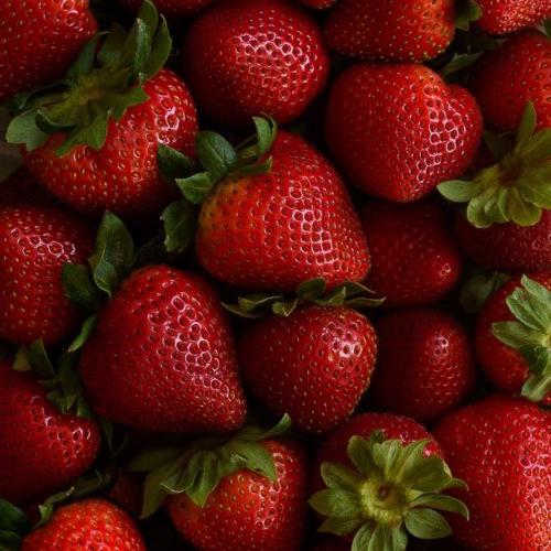 สมาชิกหมายเลข 6546407