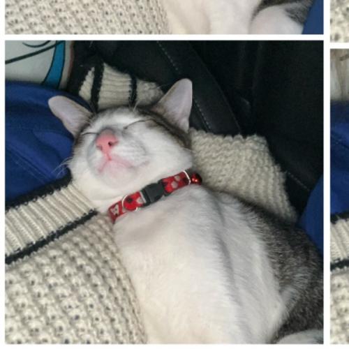 สมาชิกหมายเลข 6555965