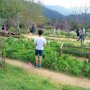 สมาชิกหมายเลข 3707309