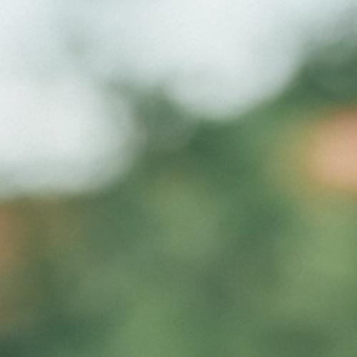 สมาชิกหมายเลข 1886109