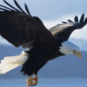 สมาชิกหมายเลข 4644997