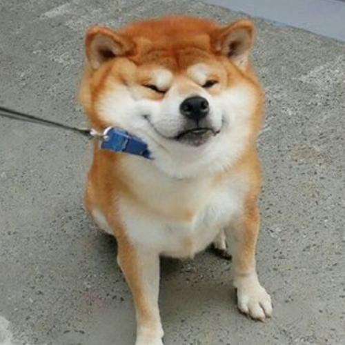 สมาชิกหมายเลข 4670800