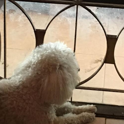 สมาชิกหมายเลข 5035101