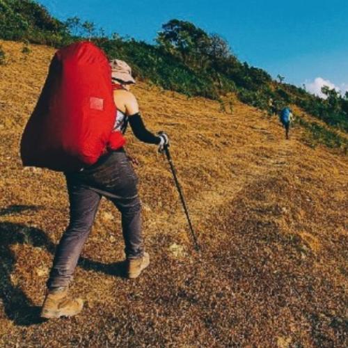 ซารีน่า