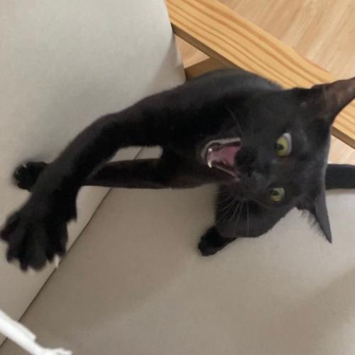 สมาชิกหมายเลข 1034916