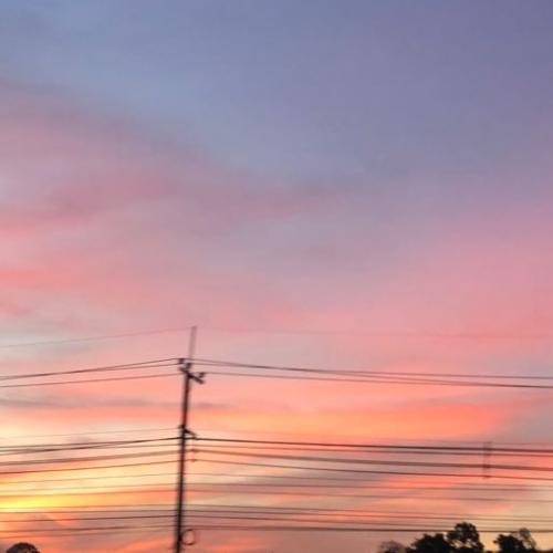 สมาชิกหมายเลข 7268134