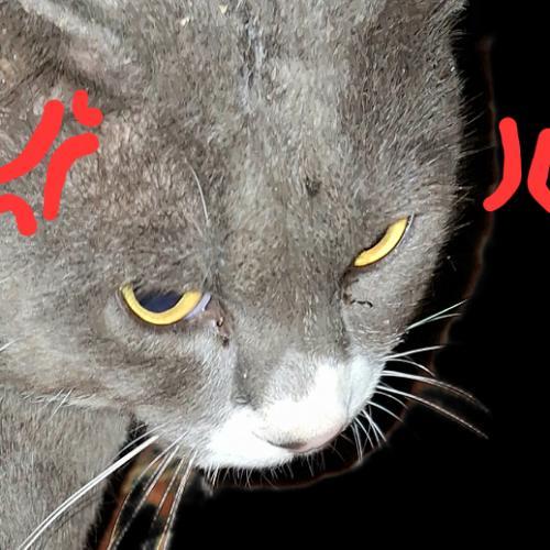 สมาชิกหมายเลข 6522822