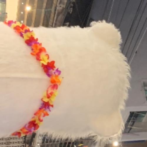 สมาชิกหมายเลข 8089786