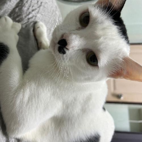 สมาชิกหมายเลข 6197411