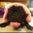 สมาชิกหมายเลข 4291889