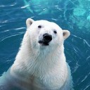 สมาชิกหมายเลข 4292295