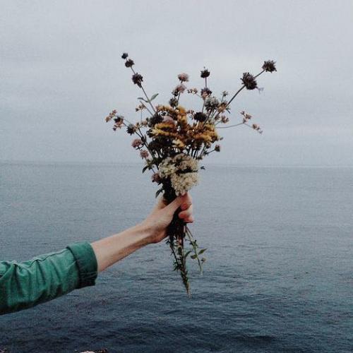 สมาชิกหมายเลข 2206493