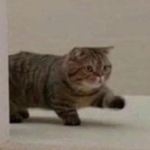 สมาชิกหมายเลข 3333262