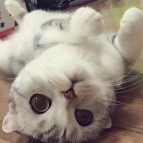 สมาชิกหมายเลข 5427749