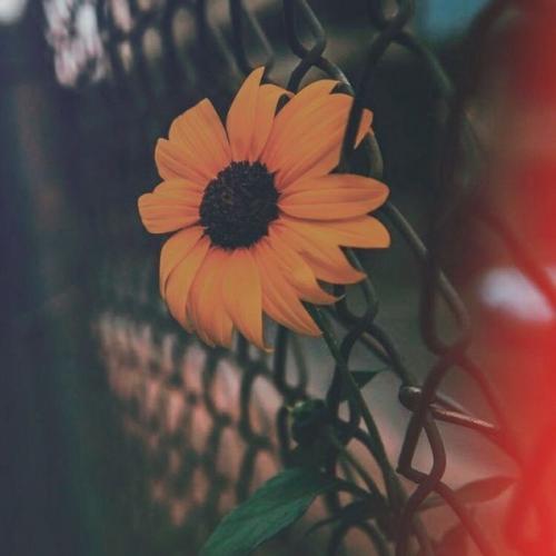 สมาชิกหมายเลข 5025464