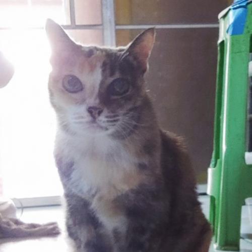 สมาชิกหมายเลข 6547274