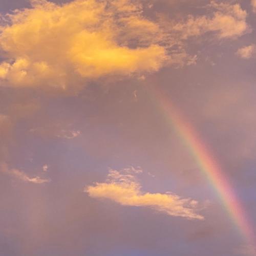 สมาชิกหมายเลข 7270333