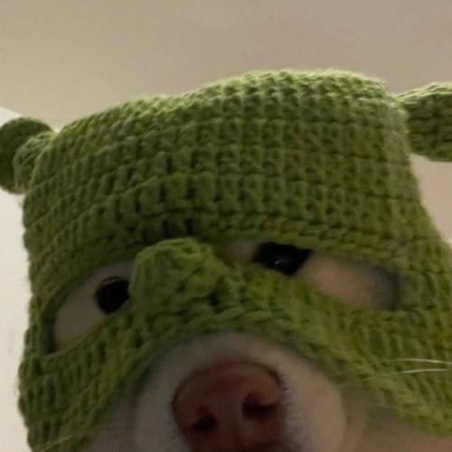 สมาชิกหมายเลข 7270610