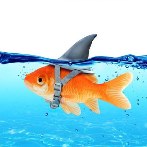 สมาชิกหมายเลข 1273172