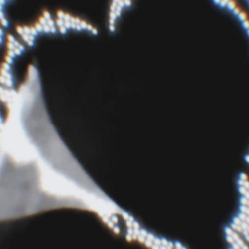 สมาชิกหมายเลข 8091688