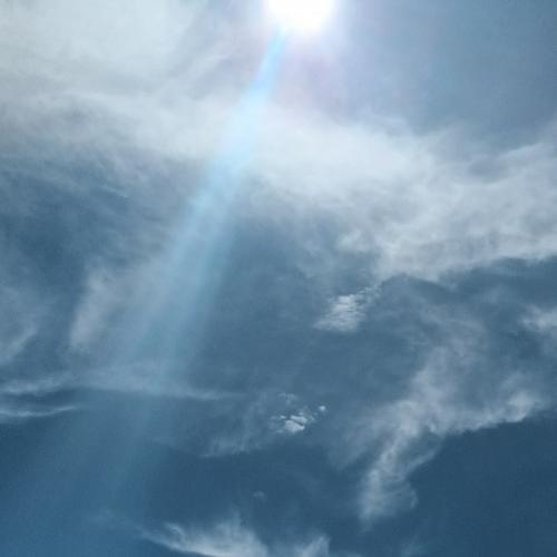 สมาชิกหมายเลข 8109613