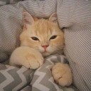 สมาชิกหมายเลข 3826388