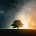 สมาชิกหมายเลข 3826513