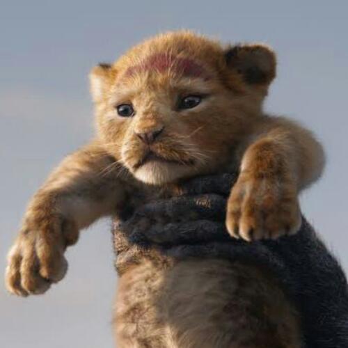 สมาชิกหมายเลข 5427991