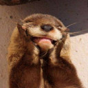 สมาชิกหมายเลข 5428099